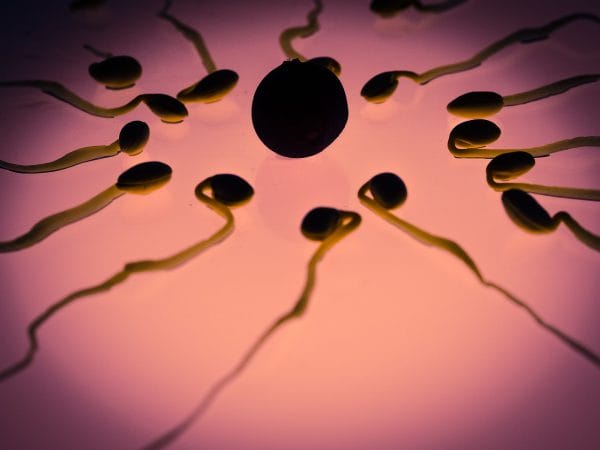 donor insemination: get pregnant with a sperm donor