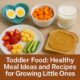 Toddler food ideas with healthy meals, sweet potato, fruit, and milk for little ones at home
