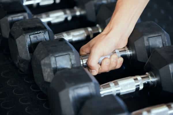 The Essentials Of Muscle Development: A Comprehensive Guide 1 Muscle development