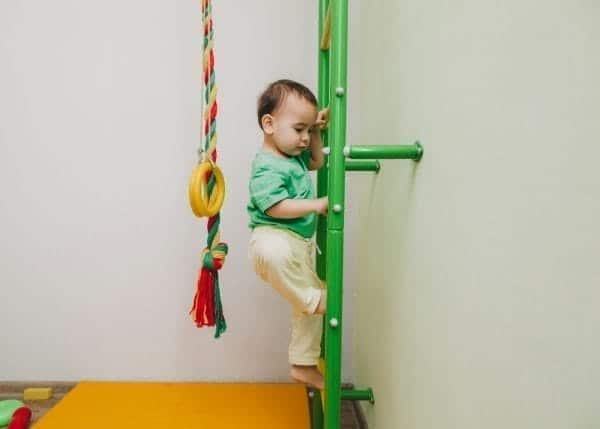 Understanding Physical Development: A Comprehensive Guide 1 Physical development