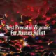 Best prenatal vitamins for nausea relief - best prenatal vitamins for nausea relief