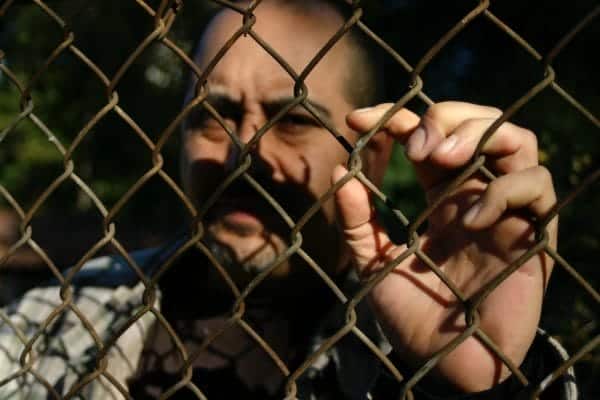 Understanding The Root Causes Of Separation Anxiety 1 The causes of separation anxiety