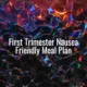 First trimester nausea friendly meal plan - first trimester nausea friendly meal plan