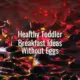 Healthy toddler breakfast ideas without eggs - toddler breakfast ideas without eggs